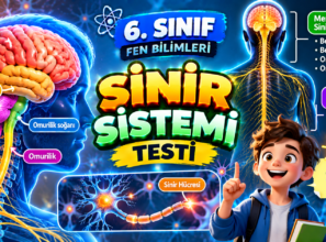 6. Sınıf Fen Bilimleri Sinir Sistemi Testi – 10 Soru