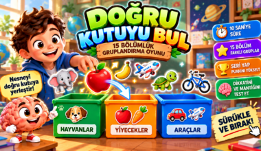Doğru Kutuyu Bul: 15 Nesneyi Gruplandır